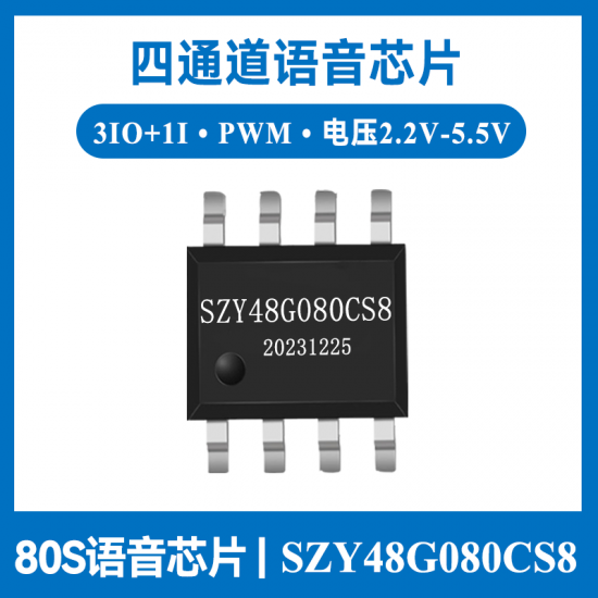 SZY48G080CS8